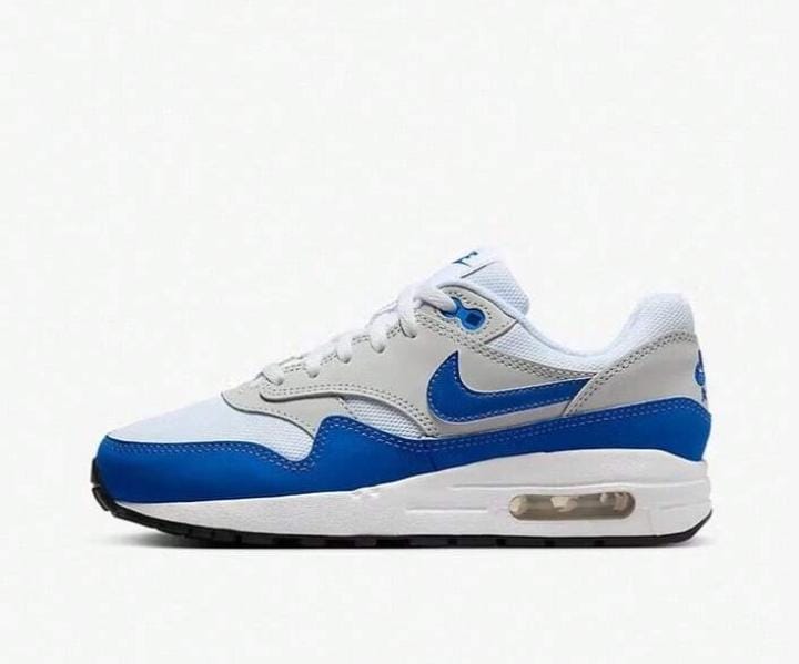 Nike MAX 1 SE (GS) Women Cushioned Casual Sneakers, Running Shoes, Model DZ3307-104